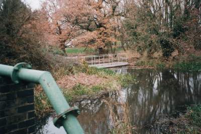 pic3